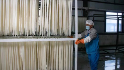 稅務賦能，非遺“活”起來 延邊稅務助力非物質文化遺產傳承與發展